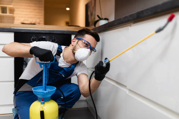 Best Best Pest Control Companies  in Bluffton, IN