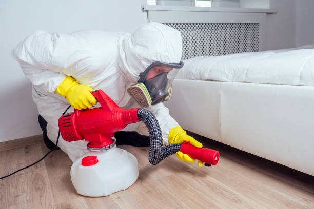 Best Termite Control Services  in Bluffton, IN