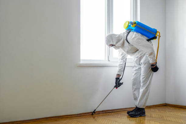 Best Mosquito Control Services  in Bluffton, IN