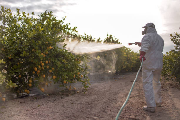 Best Pest Inspection Near Me  in Bluffton, IN