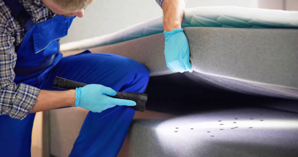 Best Cockroach Control Services  in Bluffton, IN