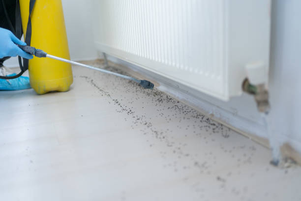 Best Wildlife Control Services  in Bluffton, IN