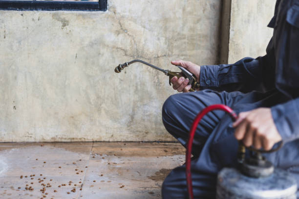 Best Pest Control Cost  in Bluffton, IN